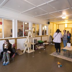 Nine Lives Cat Cafe - 247 Photos 
