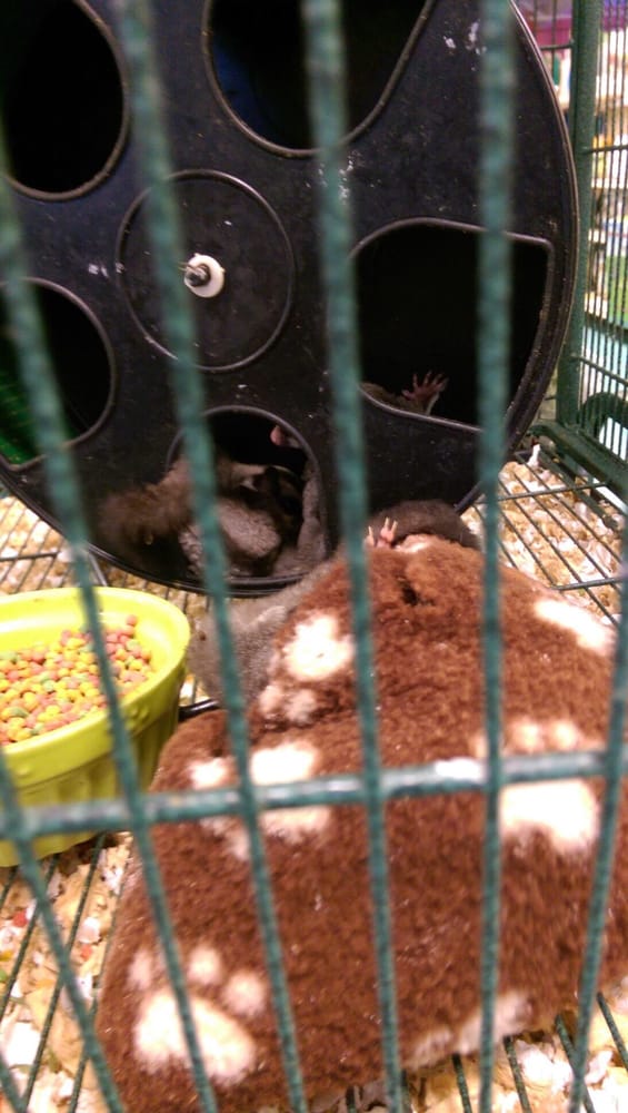 Winchester Aquarium & Pet Center Pet Stores 190 Costello Dr