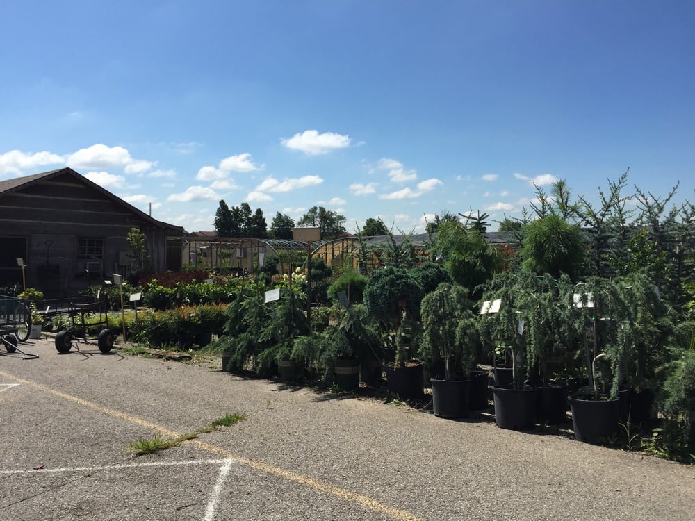 Watkins Nursery Nurseries & Gardening 1224 Goetz Dr, Owensboro, KY