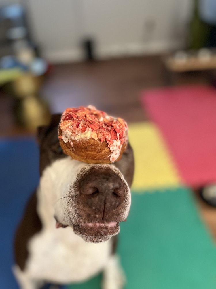 The Biscuit Lady