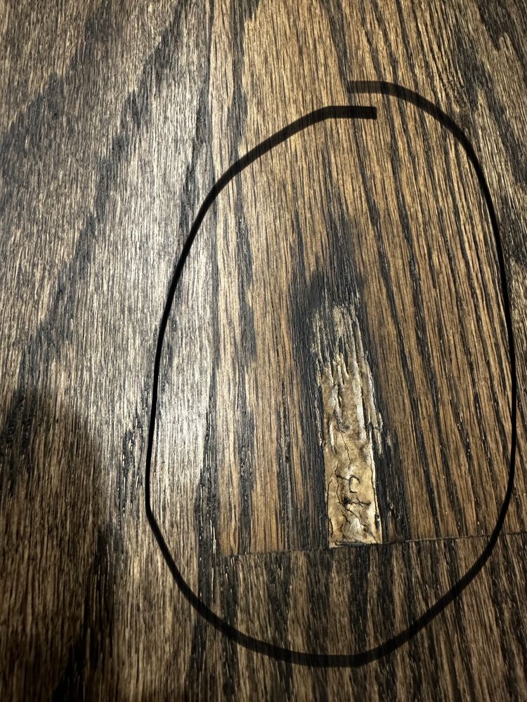 Mr Sandless Charlotte