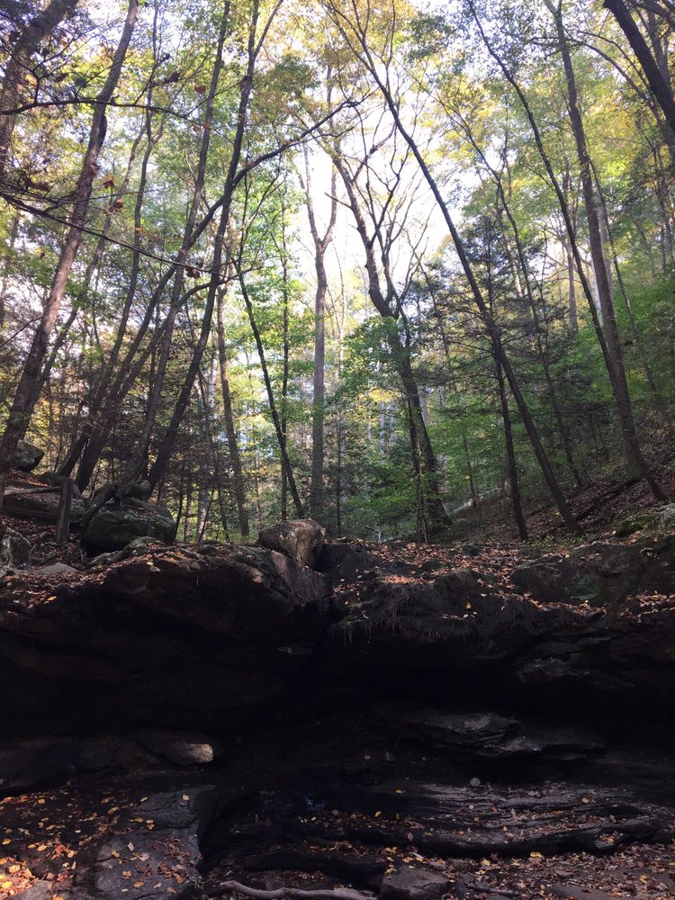 Frozen Head State Park Parks 964 Flat Fork Rd, Wartburg, TN Phone