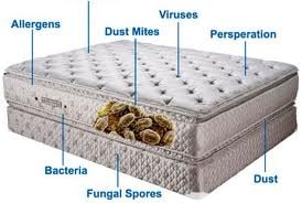 Salituro Carpet & Services