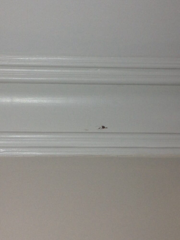 Frank Cole Building Company