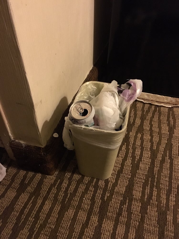 Rat inside trash can!!! - Yelp Rat inside trash can!!! - Yelp
