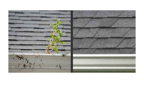 Arrowhead Roof Cleaning