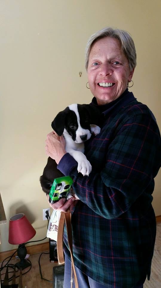 homes for happy dogs homes for happy dogs 11 photos pet adoption 109 dover st chichester nh phone homes for happy dogs homes for happy dogs 11 photos pet adoption 109 dover st chichester nh phone