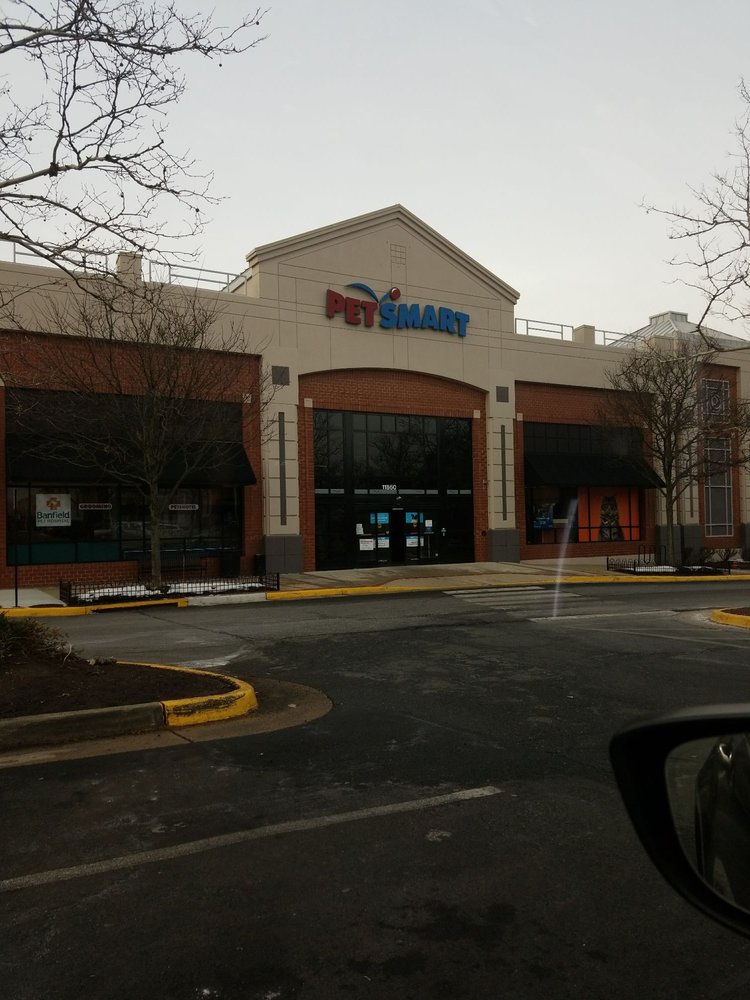 Petsmart 59 Reviews Pet S 11860 Spectrum Center Reston Petsmart 59 Reviews Pet S 11860 Spectrum Center Reston Va Phone Number Yelp