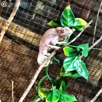 Skunk Ape Research Headquarters - 68 Photos & 15 Reviews - Local Flavor