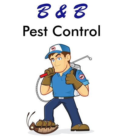 Best Pest Control In Boston | B & B Pest Control