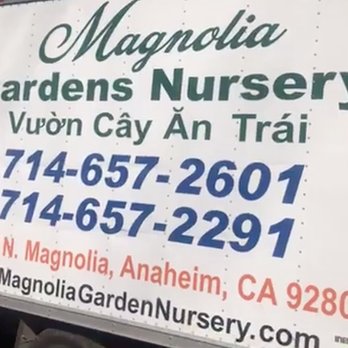 Magnolia Gardens Nursery 13 Photos Nurseries Gardening 10722 Photo Of Magnolia Gardens Nursery Stanton Ca United States
