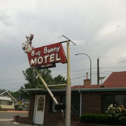 Big Bunny Motel Lakewood Co Big Bunny Motel Lakewood Co