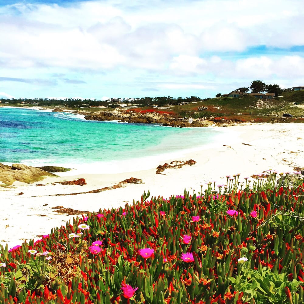 I Love Pebble Beach There S Emerald Blue Ocean White Sands And Photo Of Pebble Beach Ca United States I Love