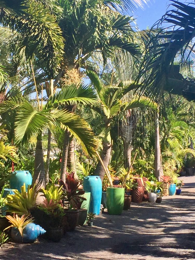 South Maui Gardens 42 Photos Nurseries & Gardening 35 Auhana Rd