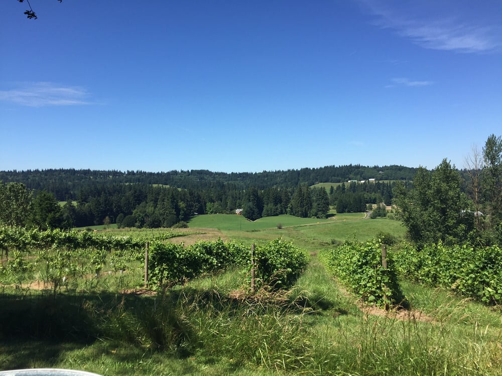 King’s Raven Winery Wineries Estate Tasting Room Oregon City, OR