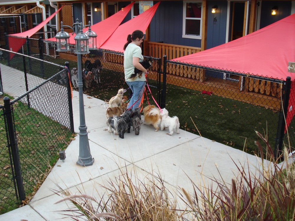 Best Friends Boarding Too 34 Photos & 17 Reviews Pet Boarding/Pet