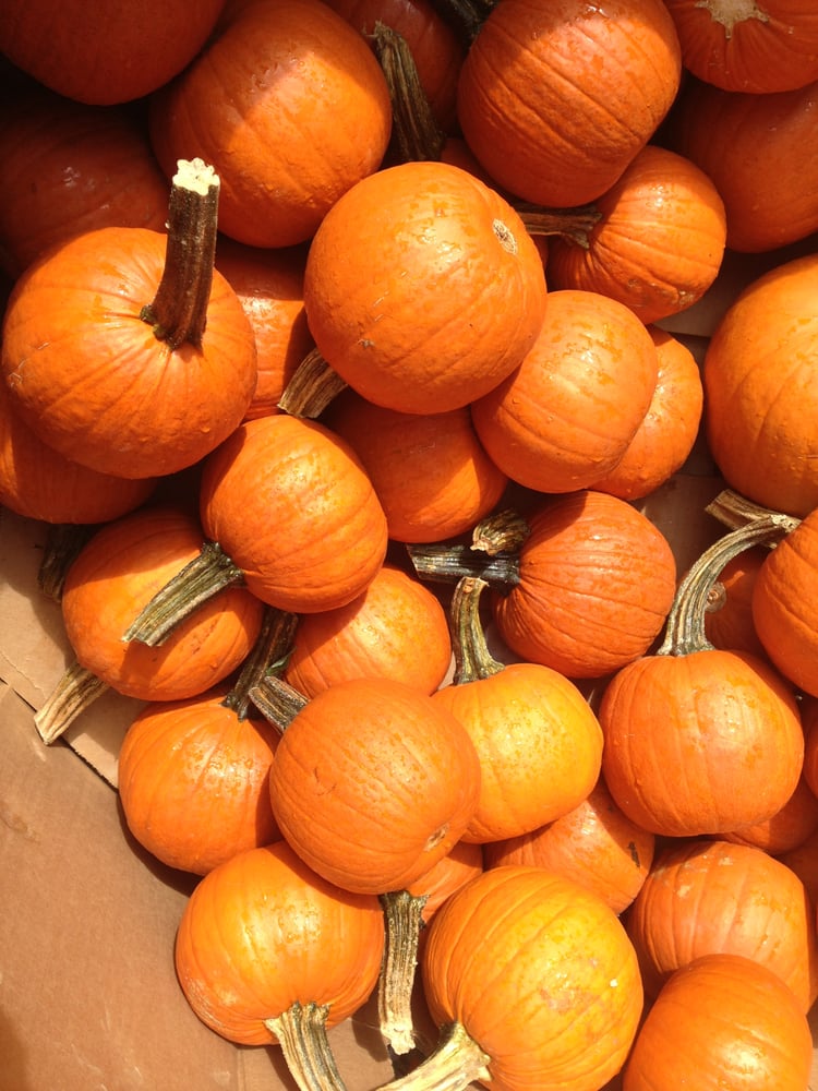 Highland Orchards Farm Market 12 Photos & 10 Reviews Fruits