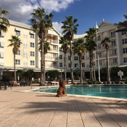 Monumental Hotel Orlando 38 Photos 41 Reviews Hotels 12120 Photo Of Monumental Hotel Orlando Fl United States