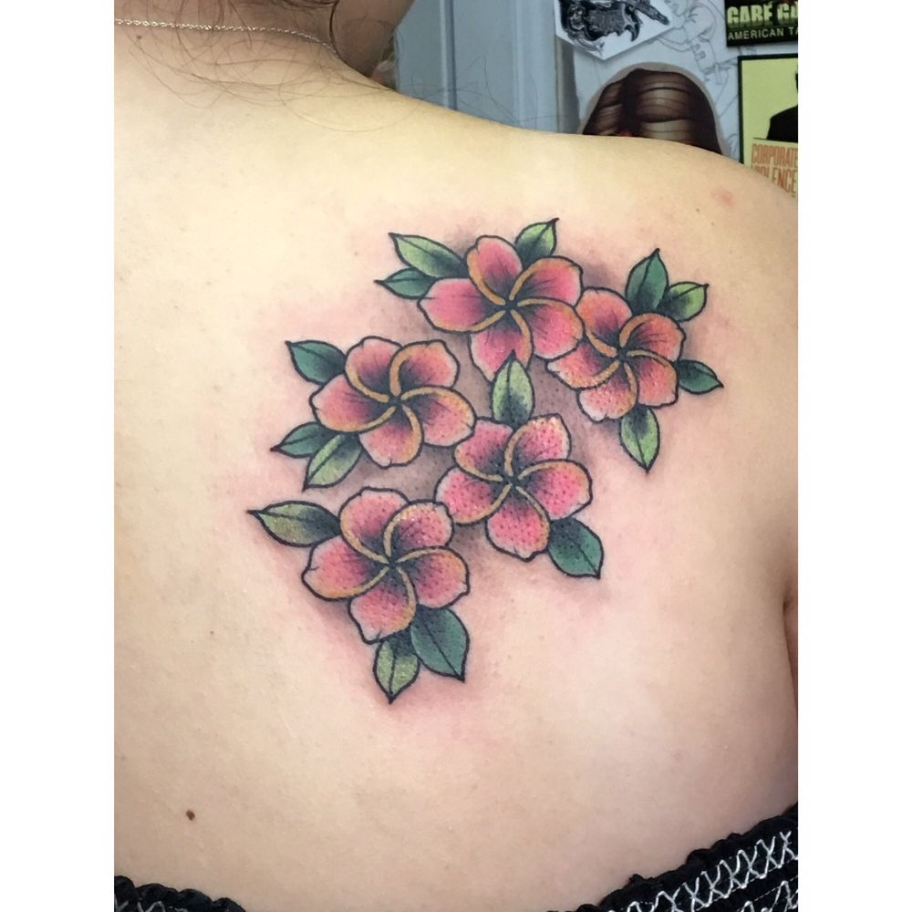 Plumeria Flower Tattoo Drawing Best Flower Site