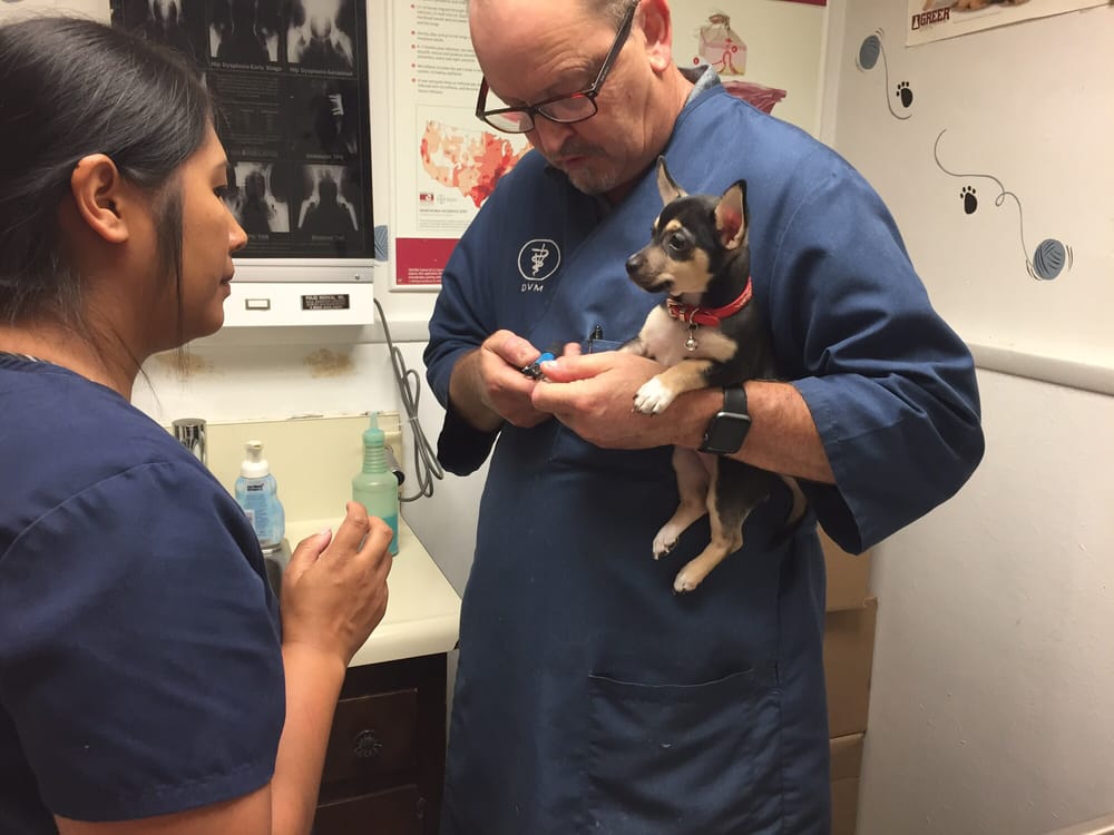 Delano Veterinary Hospital 15 Reviews Veterinarians 726 S High St, Delano, CA Phone