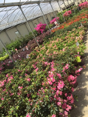 Outdoor Environments 68 Zion Church Rd Braselton Ga Nurseries Photos 9