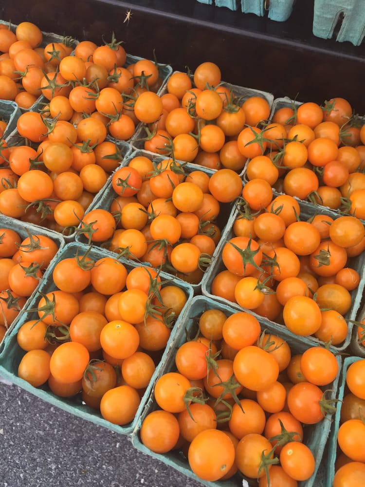 PA Farmers Open Air Market