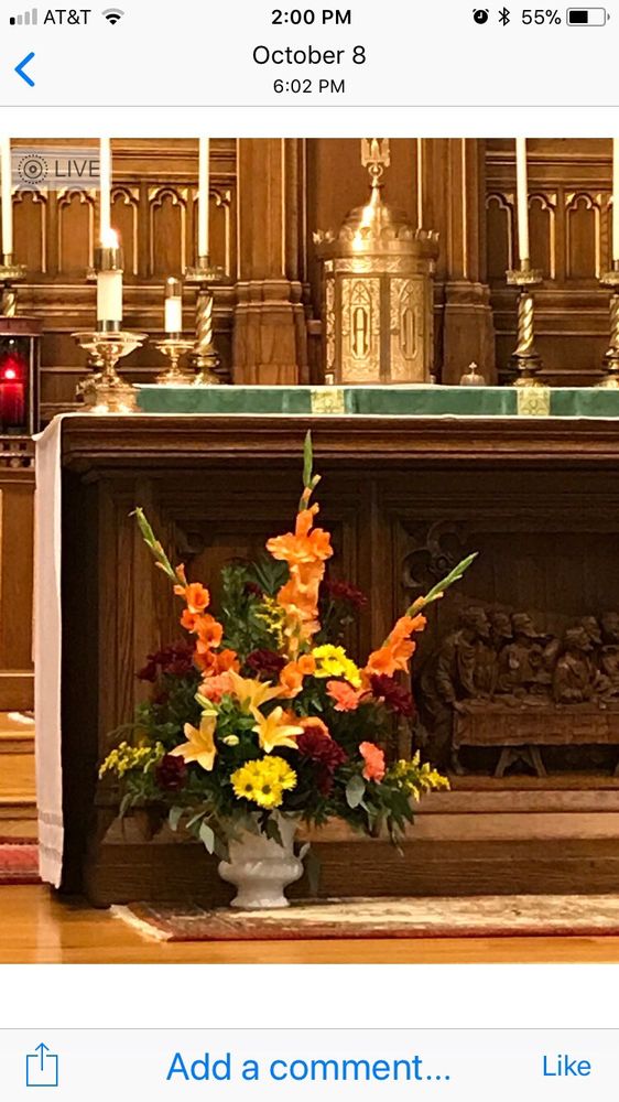 Almquist Flowerland Florists 326 Franklin St, Quincy, MA Phone