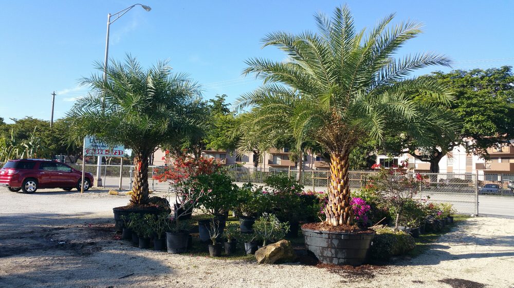 Aguazul Nursery 116 Photos Nurseries & Gardening 5840 SW 125th