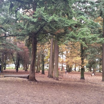 Portland Oregon Dog Parks Off Leash Portland Oregon Dog Parks Off Leash