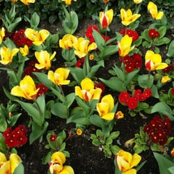 Photo of Accounts Advice Centre - Dublin, Republic of Ireland