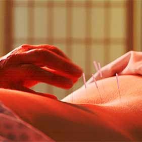 Palm Harbor Oriental Medicine