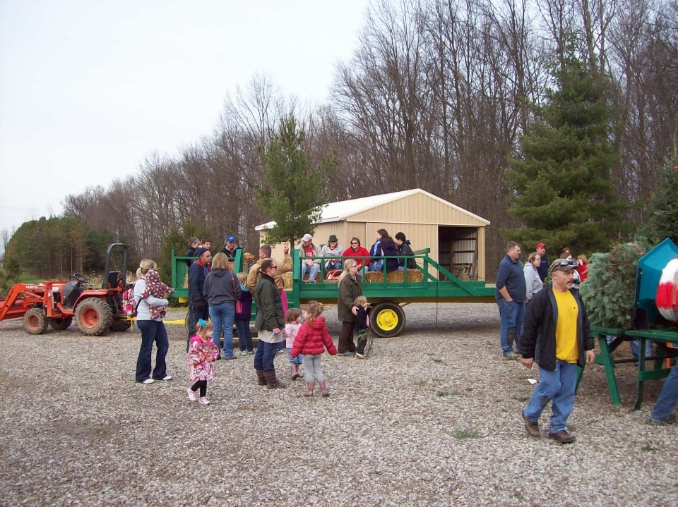 Dale Tree Farm Nurseries & Gardening 9481 Kilbourne Rd, Sunbury, OH