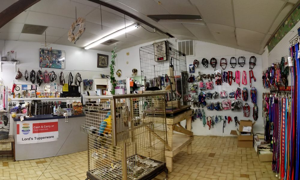 Royalty Pet Center 12 Photos Pet Stores 9900 N Houston Rosslyn Rd