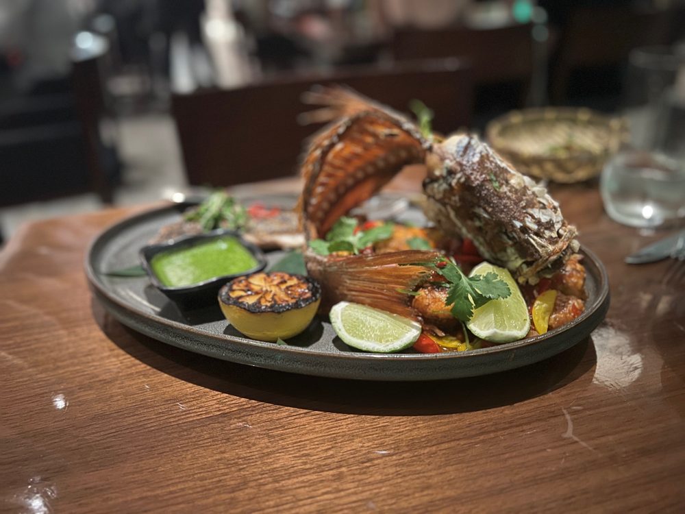 Novikov Miami