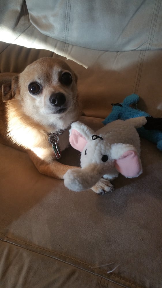 Pet Wants Pet Stores Downtown Cincinnati, OH Yelp