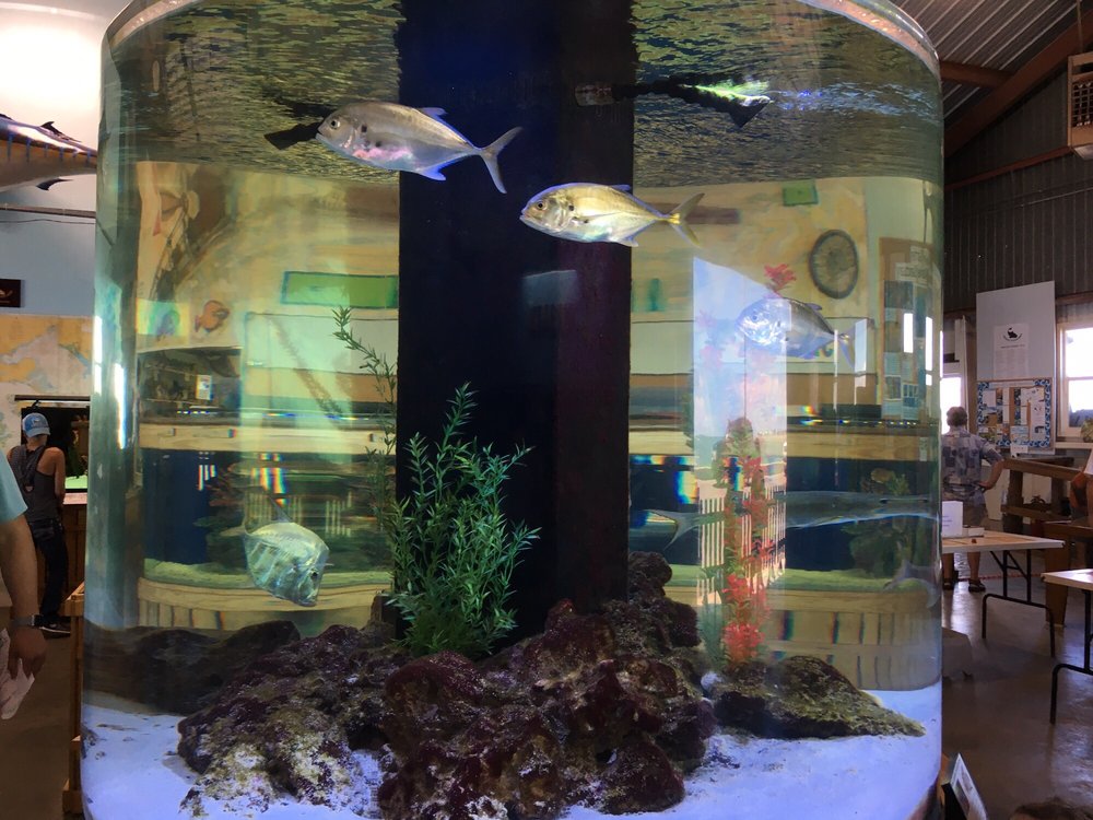 The Aquarium at Rockport Harbor 18 Photos & 12 Reviews Aquariums