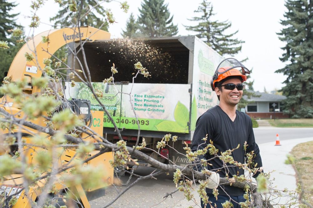 Grinders Tree Service