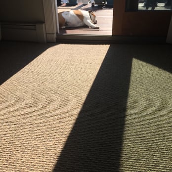 Tri County Carpet Cleaning 11 Photos 15 Reviews Photo Of Tri County Carpet Cleaning Levittown Ny United States Bulldog Clean