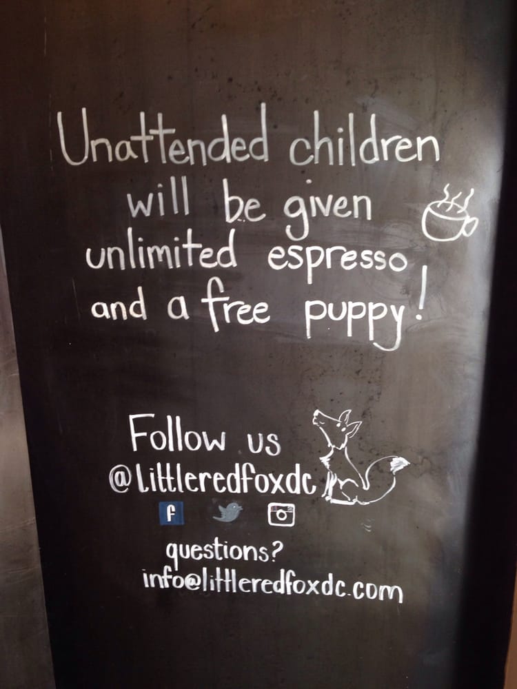 Photo of Little Red Fox - Washington, DC, United States. ***applause***