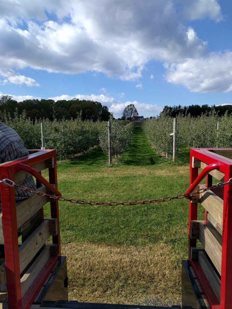 Waters Orchard
