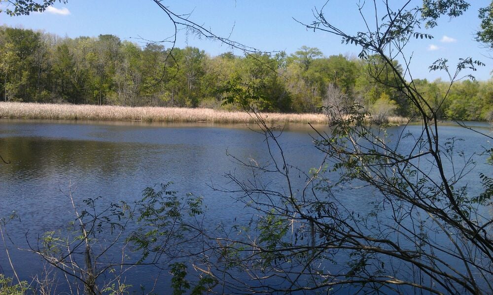 Savannah Ogeechee Canal Museum Nature Center Savannah Ogeechee Canal Museum Nature Center