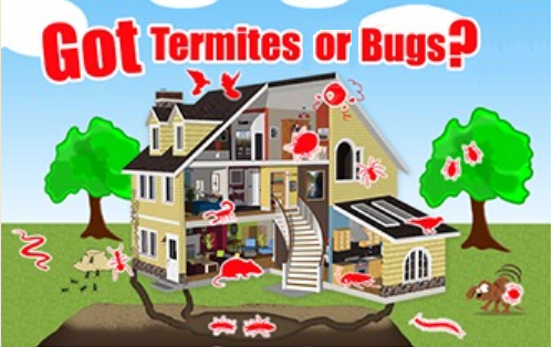 Bichoos Termites & Pest Control
