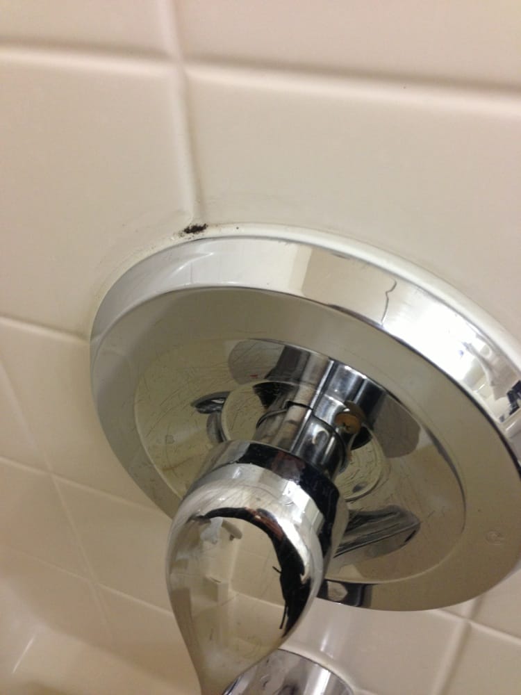 Mold In Shower Handle noticed this black spot around the shower handle..mold?!?! - yelp Mold In Shower Handle noticed this black spot around the shower handle..mold?!?! - yelp