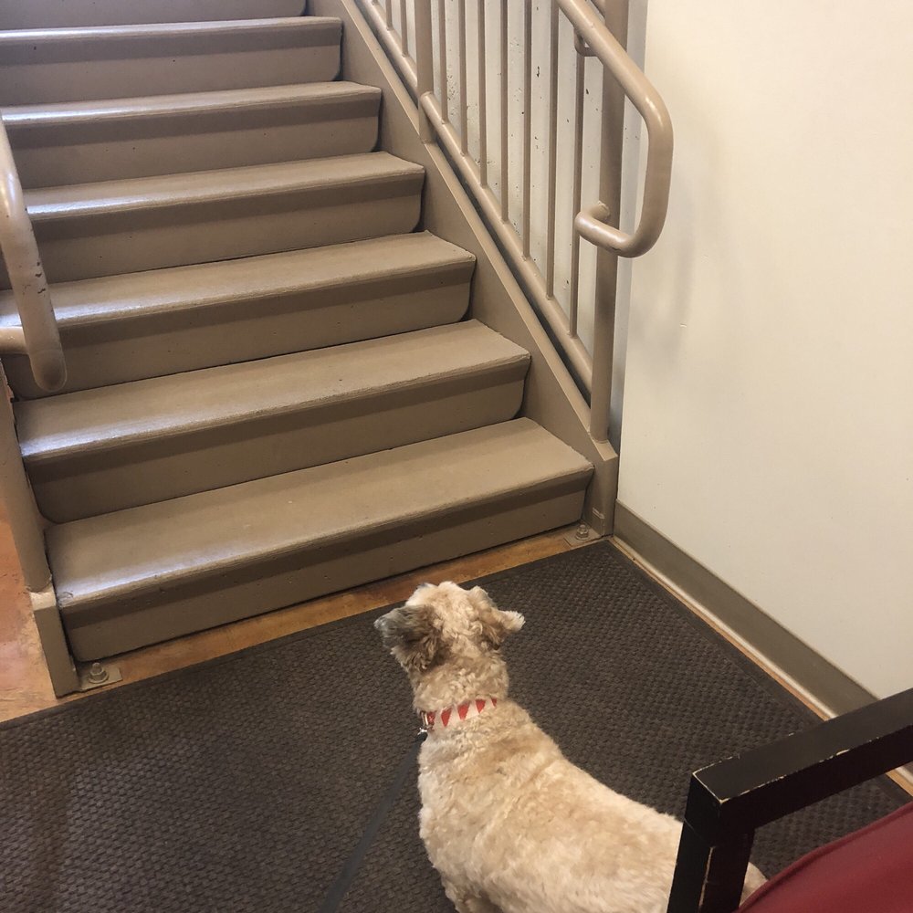 Lake Union Veterinary Clinic