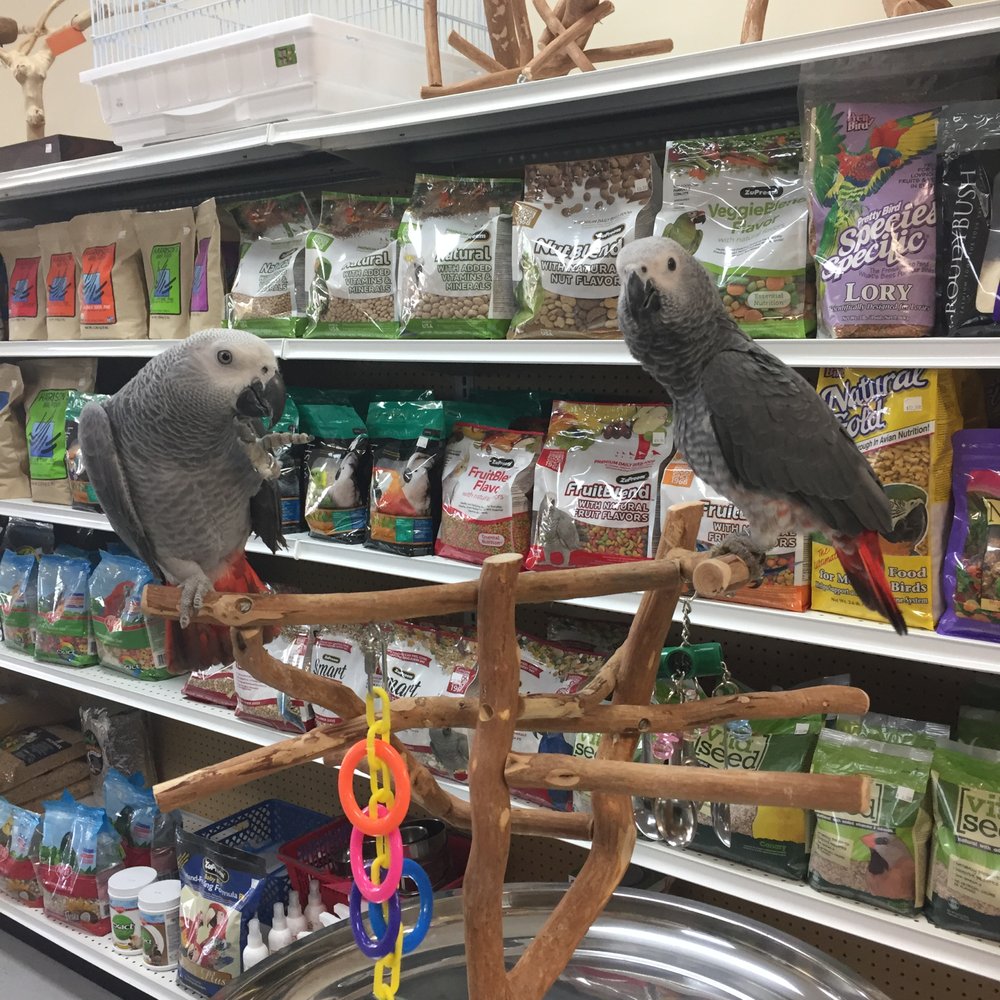 off broadway gift card