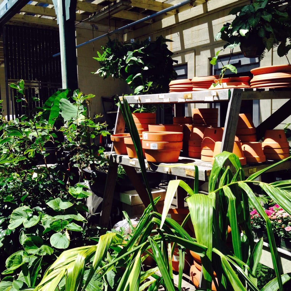 Hardware Hawaii 27 Photos & 59 Reviews Building Supplies 30