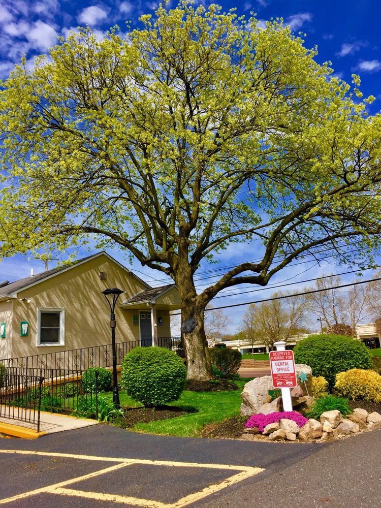 image of business Michael L. Bydalek, DMD