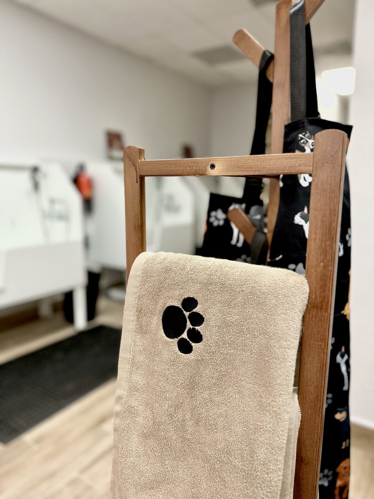 Splash N Dash DIY Dog Wash