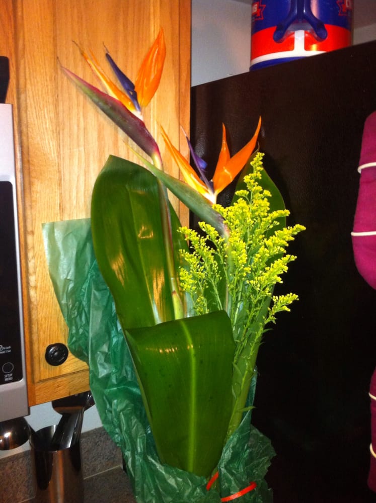 Arlington Flower Shop 32 Photos Florists 7130 Merrill Rd, Greater