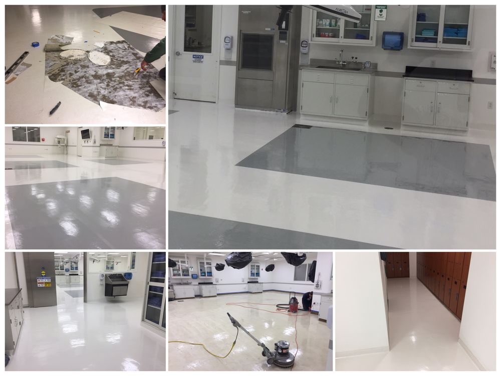 MVP Floors